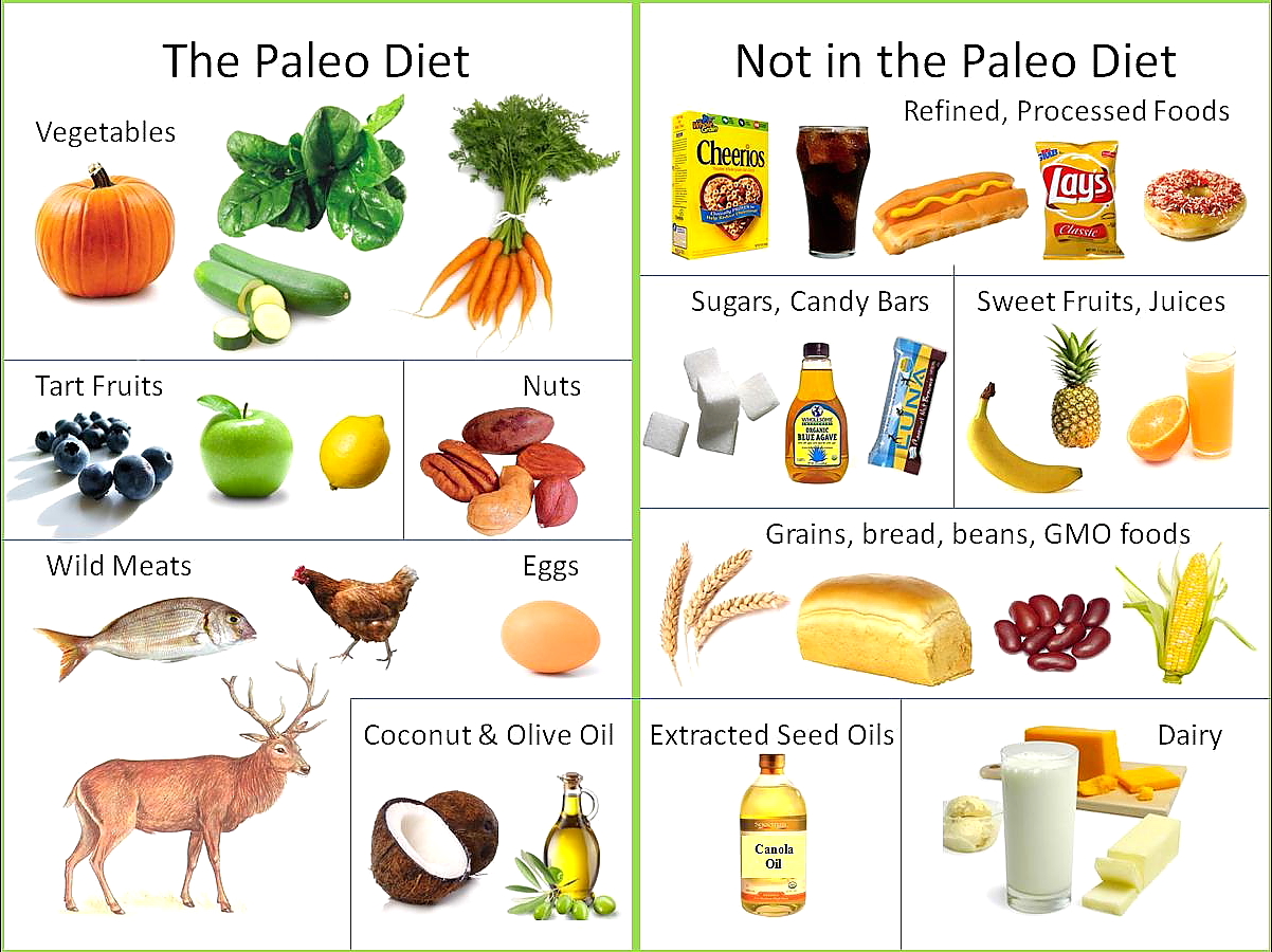 Paleo diet dairy
